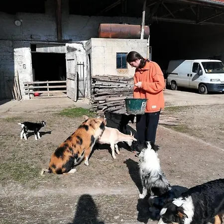 Ferme Les Poneys De La Durme Отель типа 