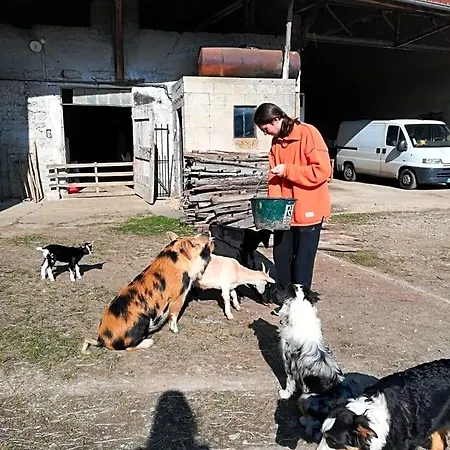 Ferme Les Poneys De La Durme Отель типа 